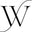 Wallace Dry Goods logo